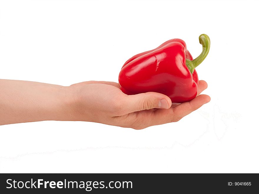 Hand holding and giving red pepper. Isolated. Hand holding and giving red pepper. Isolated.