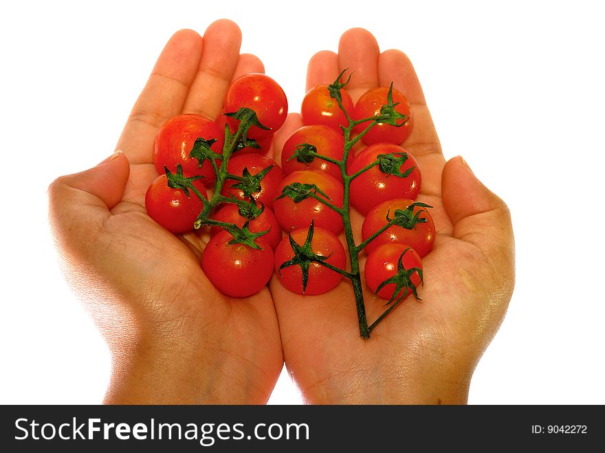 Close up capture fresh red tomato on hand. Close up capture fresh red tomato on hand