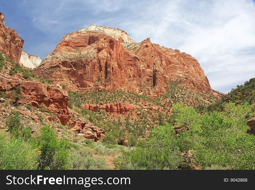 View of the Zion NP. View of the Zion NP