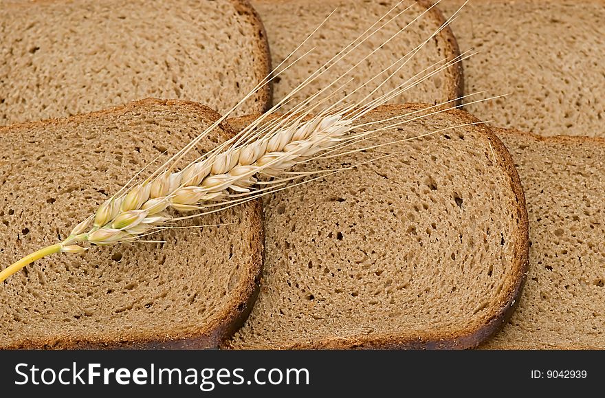 Close up of wheat ear laying on slices of bread