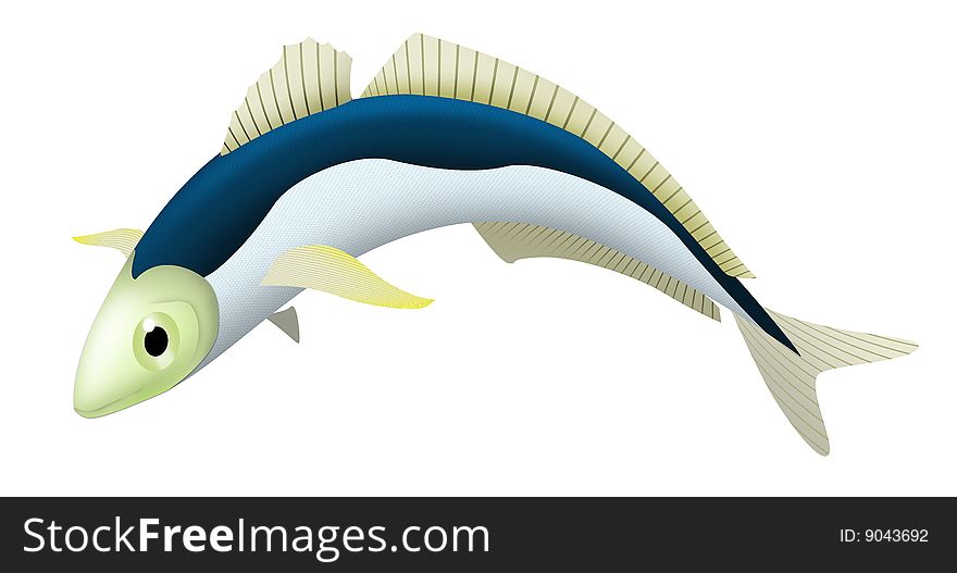 Scad fish illustration label emblem