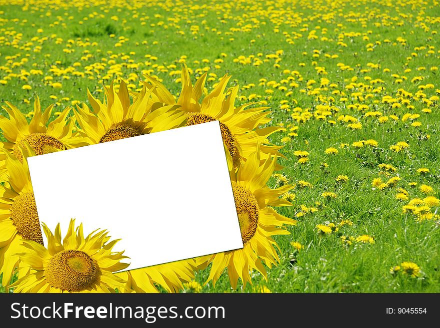 Card surrounded by sunflowers and dandelions. Add your own text. Card surrounded by sunflowers and dandelions. Add your own text.