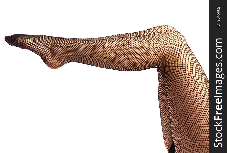 Female legs in tights, isolated
