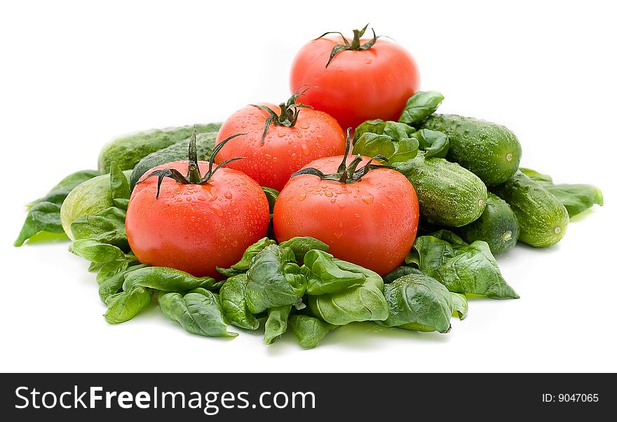 Vivid wet ripe tomatoes and basil leaves.