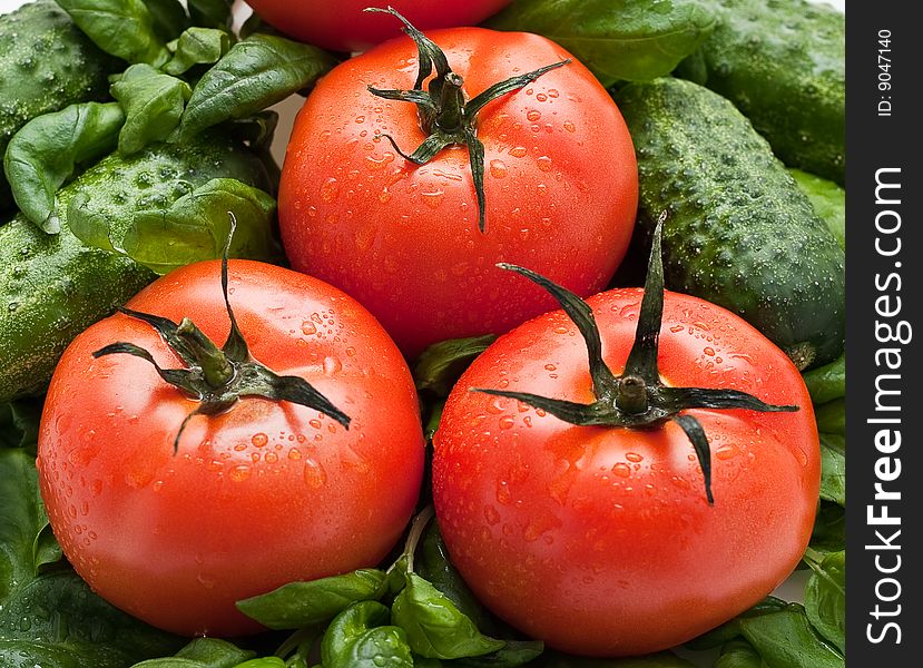 Vivid Wet Ripe Tomatoes