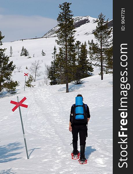 Person walking in snow with trail markers