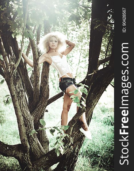Woman in White Camisole and Black Denim Cut Off Shorts Standing on the Tree Trunk