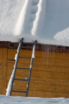 Snow Royalty Free Stock Photos Snow Royalty Free Stock Photos