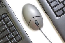 Computer Mouse Royalty Free Stock Image Computer Mouse Royalty Free Stock Image