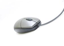 One Computer Mouse Royalty Free Stock Photo