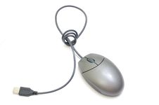 One Computer Mouse Stock Image