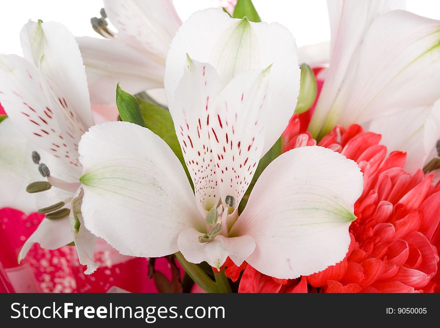 Close-up wedding bouquet with orchid and chrysanthemum, isolated on white