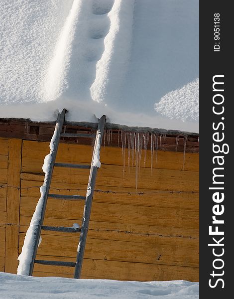 Snow on the roof of house and stair under snow