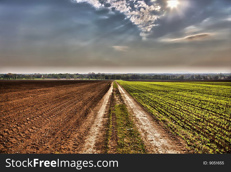 Wild Road in terrain with blue sky