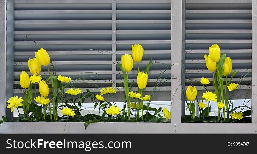 Yellow flowers near the metal ventilation grilles