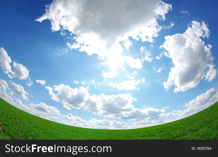 Field on a background of the blue sky