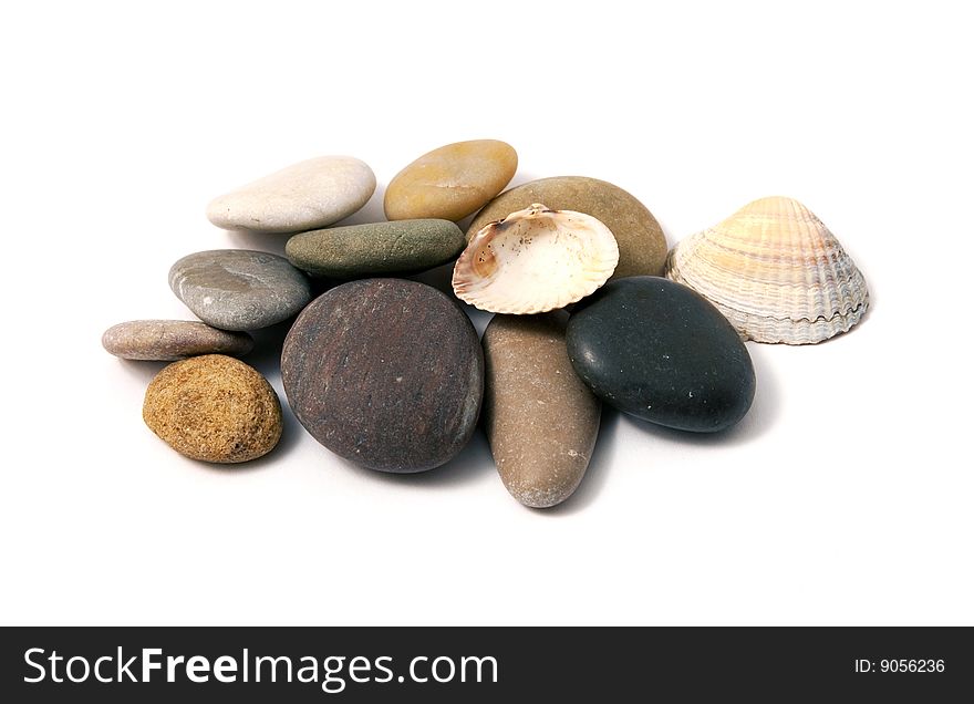 Stones and shells on white background