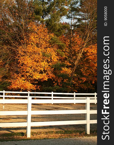 White Fence In Fall Colors