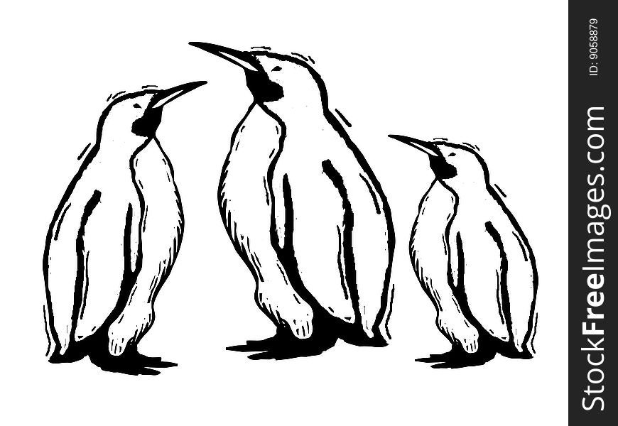 This picture shows a group of penguins