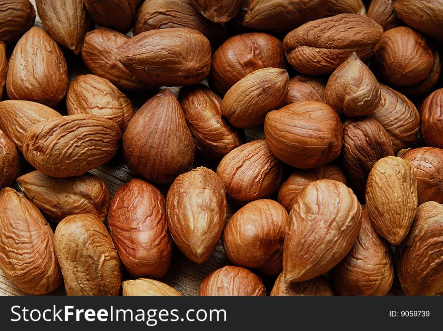 Fresh hazelnuts isolated in studio