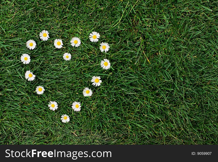 Heart shape of daisy in a meadow. Symbol of love for the nature and the environment. Heart shape of daisy in a meadow. Symbol of love for the nature and the environment.
