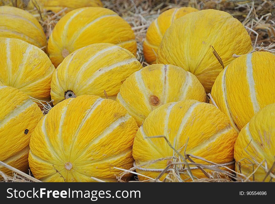 Yellow Fruit on Hay