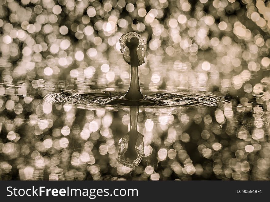 Water, Reflection, Black And White, Photography