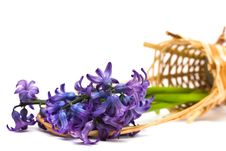 Spring Flowers In Basket Stock Photos Spring Flowers In Basket Stock Photos