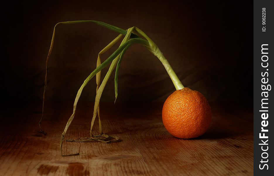 Onions growing out of an orange