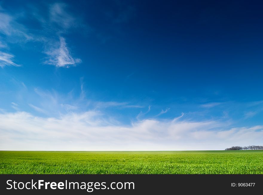 Background of cloudy sky and grass. Background of cloudy sky and grass