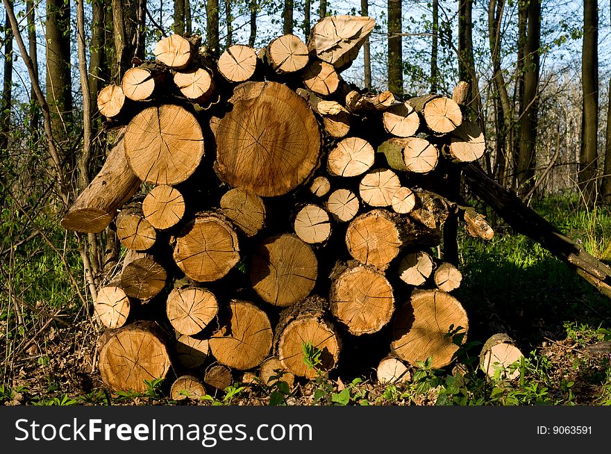 Round old timbers ready to go to in processing. Round old timbers ready to go to in processing