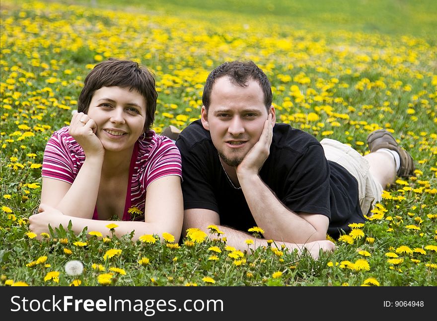 Couple laying in a meadow full of dandelions