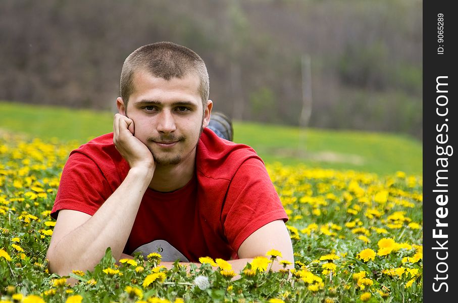 Handsome young man laying in a meadow full of dandelions