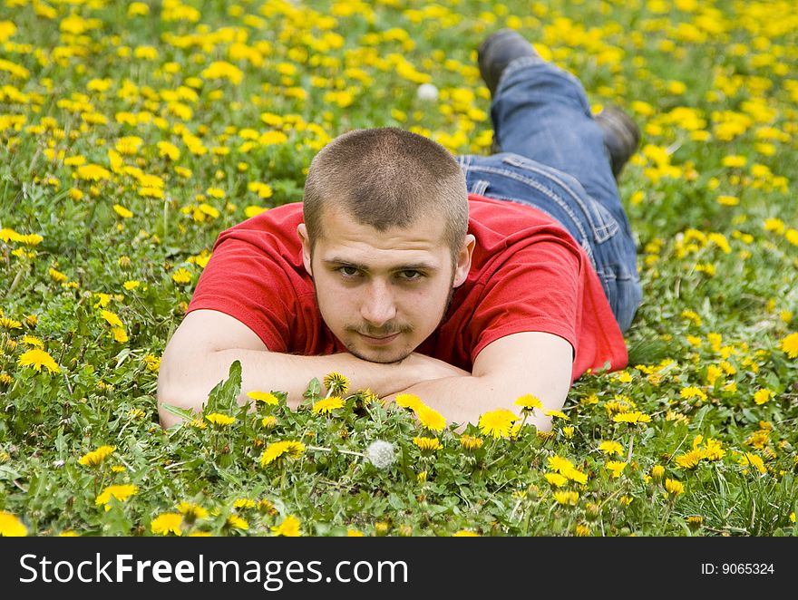 Handsome young man laying in a meadow