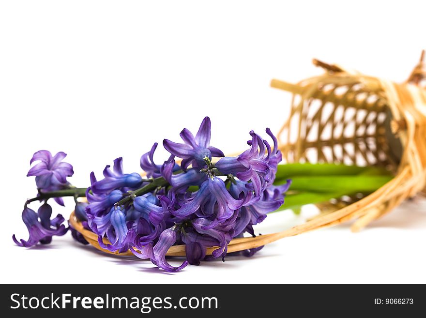 Spring Flowers In Basket