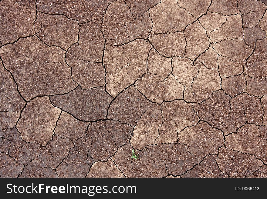 Wet background with cracks, with dry element of the land