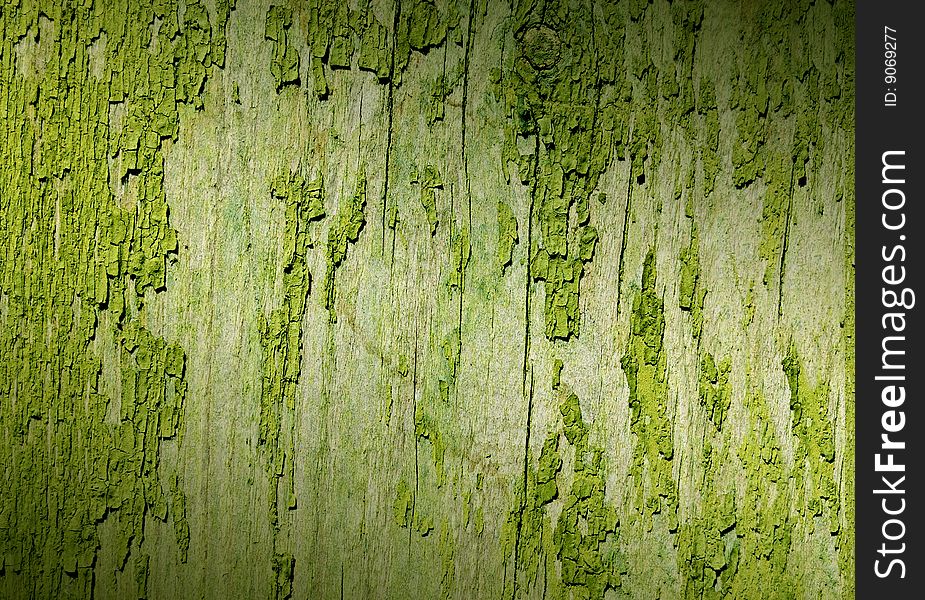 Green dirty material as texture