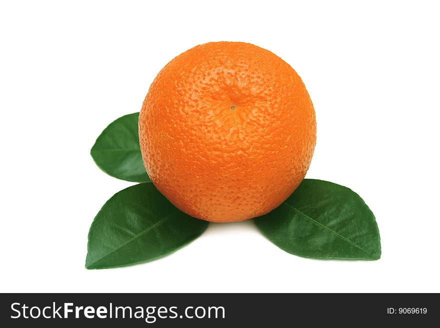 Single tangerine isolated on white. Single tangerine isolated on white.
