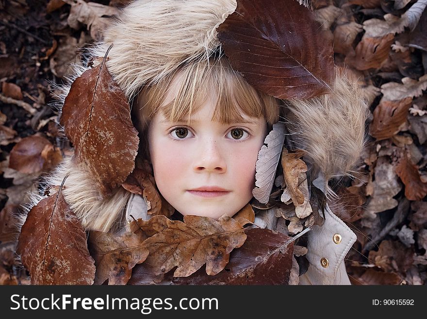 Fur, Leaf, Girl, Autumn