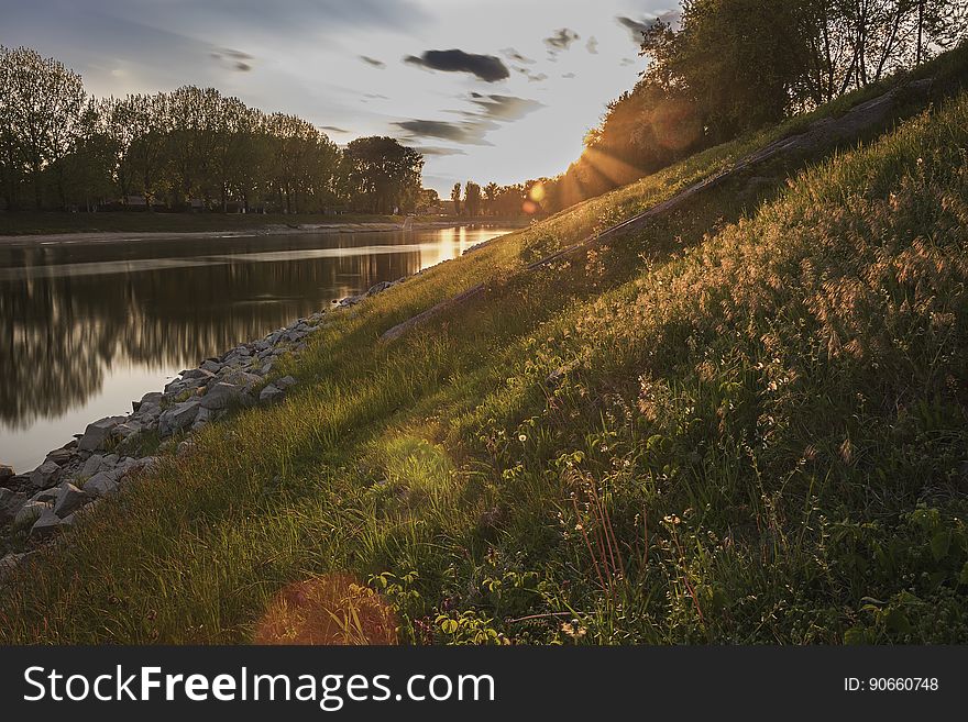 A sunlit grassy river bank at sunset with rocks lining the river itself, leafless trees on the opposite bank and a pale blue sky.