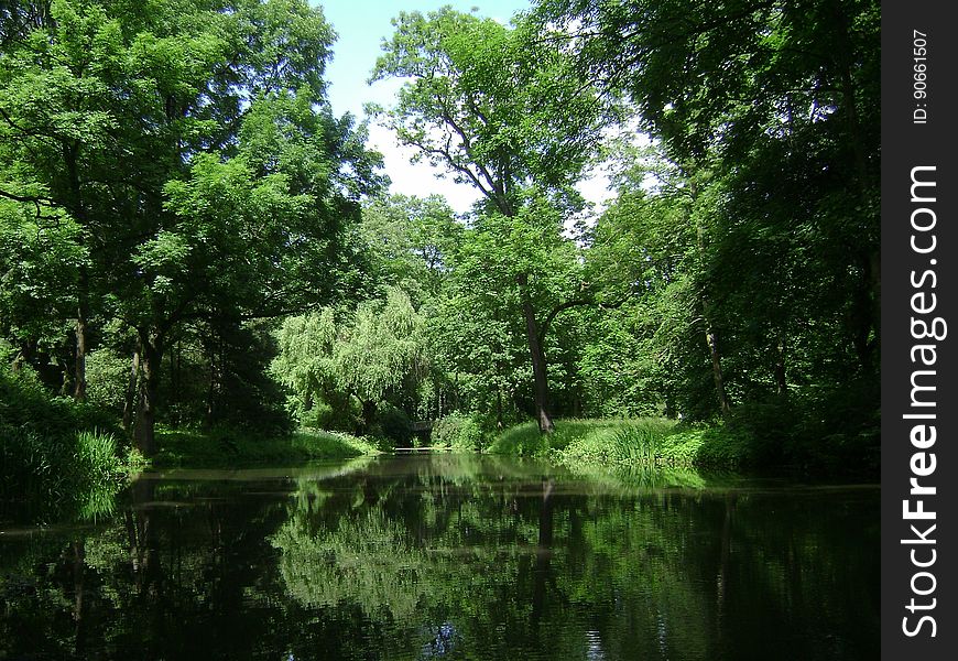 Reflection, Nature, Vegetation, Waterway