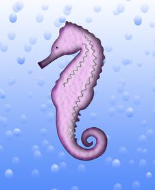 Sea Horse Stock Images Sea Horse Stock Images