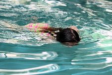 Little Girl Swimming Royalty Free Stock Photo