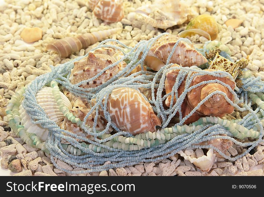 Blue necklace with golden buckle on the seashells. Blue necklace with golden buckle on the seashells