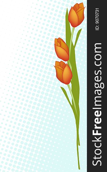 Tulips - 2d colored vector illustration