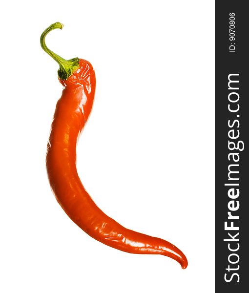 Red hot pepper