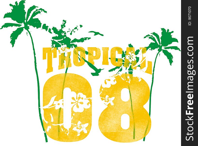 tropical 08