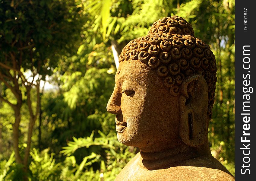 Buddha Statue In Forest