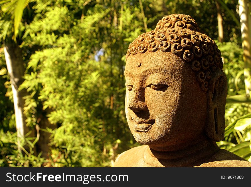 Buddha Statue In Forest