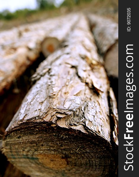 Lumber - Fallen Tree